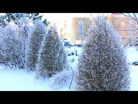 Барановичи день за днем. 27.01.26.