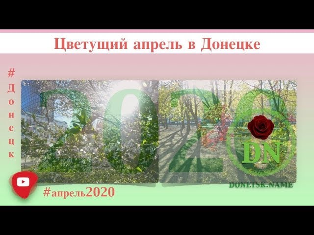 Как выглядит Донецк в апреле 2020 (видео)