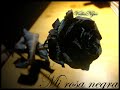 Eres mi rosa negra - Versi�n Porta  Bazzel