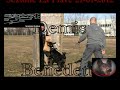 Preview video <strong>Dobermann</strong>