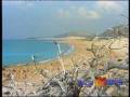 North Cyprus Tourism 2008