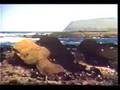 In Search Of Ancient Astronauts (1973) (Part 5 of 6)