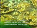 Hideaways: Punta Cana Ecological Foundation Part 1