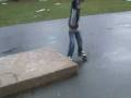 Hali Skates leaving the commons