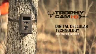 Davis Black Shockles AnchorSnubber - Eases The Tension On The Anchor Chain