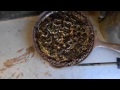 Click here to watch this video Vinegar Or Glass Bead Pt.3 Done