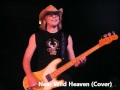 REM - Near Wild Heaven (Cover)