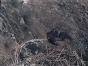 Déjà Vous on the WE Nest