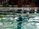 2008 Regionali 4x50 mx donne 2008 Regionali 4x50 mx donne