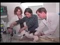 Penn Vet PSA Video