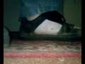 My Worn out Smelly DC Skate Sneakers