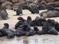 Namibia Part 3