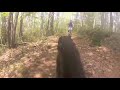 Click here to watch this video 201256 ayashi trail