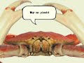 Honda Element vs The Crab