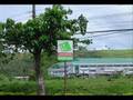 Surigao City