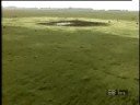 Pampa Plains