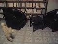 cannelletv-iPhone-cell
