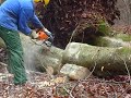 Holz Arbeit an 12 12 2008 032