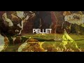 spot pellethouse OK.avi