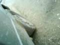 videos de MOV00065.3GP