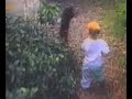 Cat jumps on child