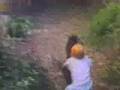 Cat jumps on child