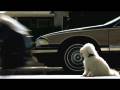  - MovieZen Video