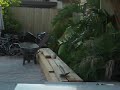 (LIVE) AFTERMATH FOOTAGE OF FIRES IN SD.  (TOP INCOME EARNER