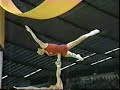 1991 Sports Acrobatics World Cup CHN men\