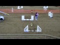 DACOF - Rev'd Up Dog Agility - July 4 & 5, 2009  - Paula