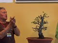Walter Pall bonsai demo: Carpinus orientalis - part 4/4