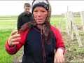 Copilul Marius Pae a fost agresat de bunicul sau Copilul Marius Pae a fost agresat de bunicul sau