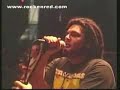 ROCKENRED: ANDREW TOSH EN COSQUIN ROCK 2007 ROCKENRED: ANDREW TOSH EN COSQUIN ROCK 2007