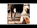 BOLERO • MEDLEY DE BOLEROS • SON DE TIKIZIA