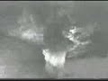 Redwoods video footage (Enhanced) Redwoods video footage (Enhanced)