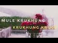 Download Mule Krukhung Krukhung Kruge Thwaiangya Chowdhury Marma Song Mp3 Song