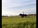 Dressage training 080505-2