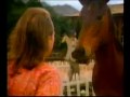  - MovieZen Video