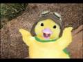 Wonder Pets This is sewius.