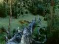  - MovieZen Video