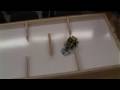 Philosophical Robots at Stony Brook - Smartbots 5