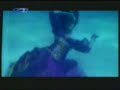 Miss Indonesia Universe 2006 Fashion Underwater Photo Shoot
