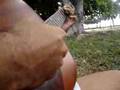 Acoustic guitar impro solo Hawaii 78