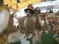 ????????????????????