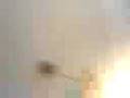 videos de twirl