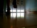 videos de seba bailando electro