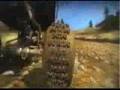 Pure-Xbox-360-Playst