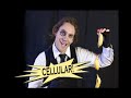 murder club hellsing cosplay   banana phone