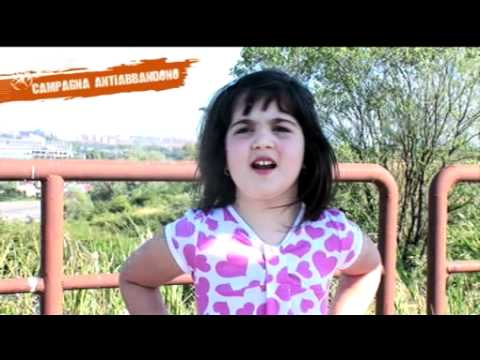 Vedi il video