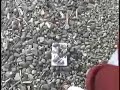 Virus Alert (Extended)-Silent Movie